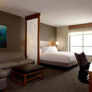 King Room Sofa Bed High Floor